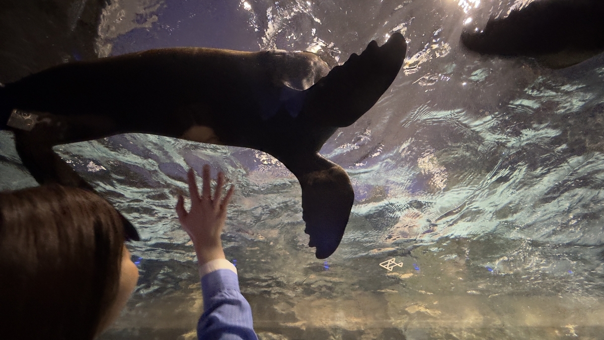 水族館内