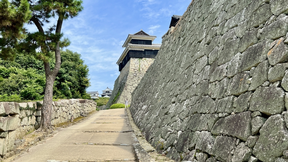 本丸を囲む石垣と櫓