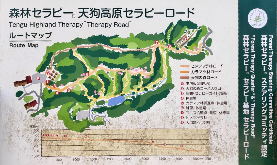天狗高原セラピーロードルートマップ