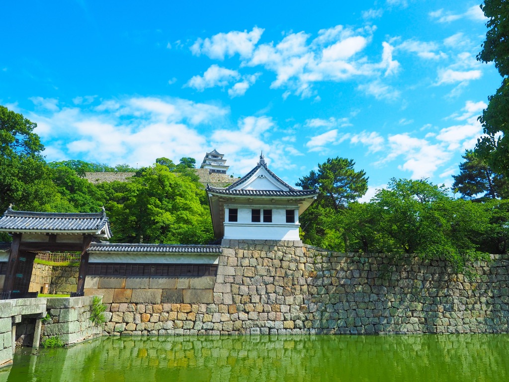 石垣と水堀に囲まれた丸亀城の遠景。青空の下に天守が佇む情景