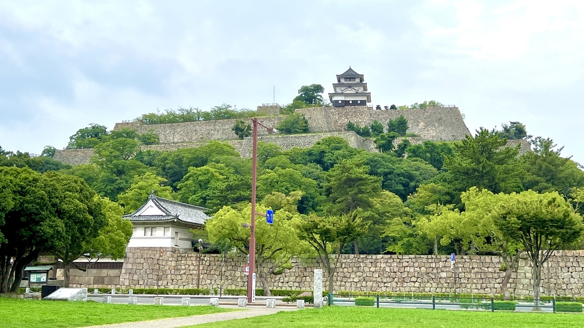 緑の木々に囲まれた丸亀城と石垣。本丸まで続く高低差がよく見える全景
