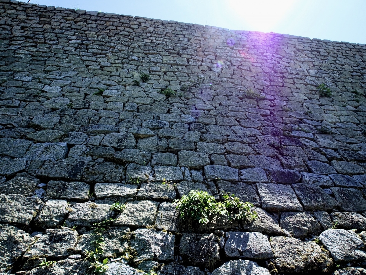 下から見上げた丸亀城の石垣。加工された石が規則的に積まれた様子