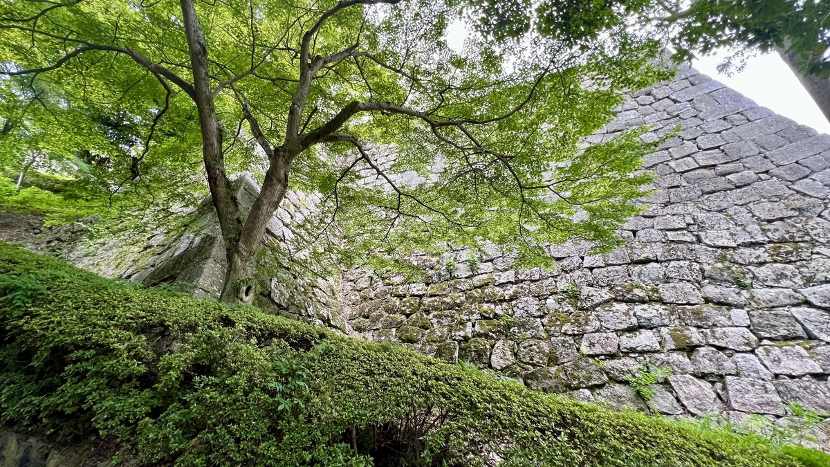 木漏れ日の中にそびえる丸亀城の石垣。自然と調和した景観