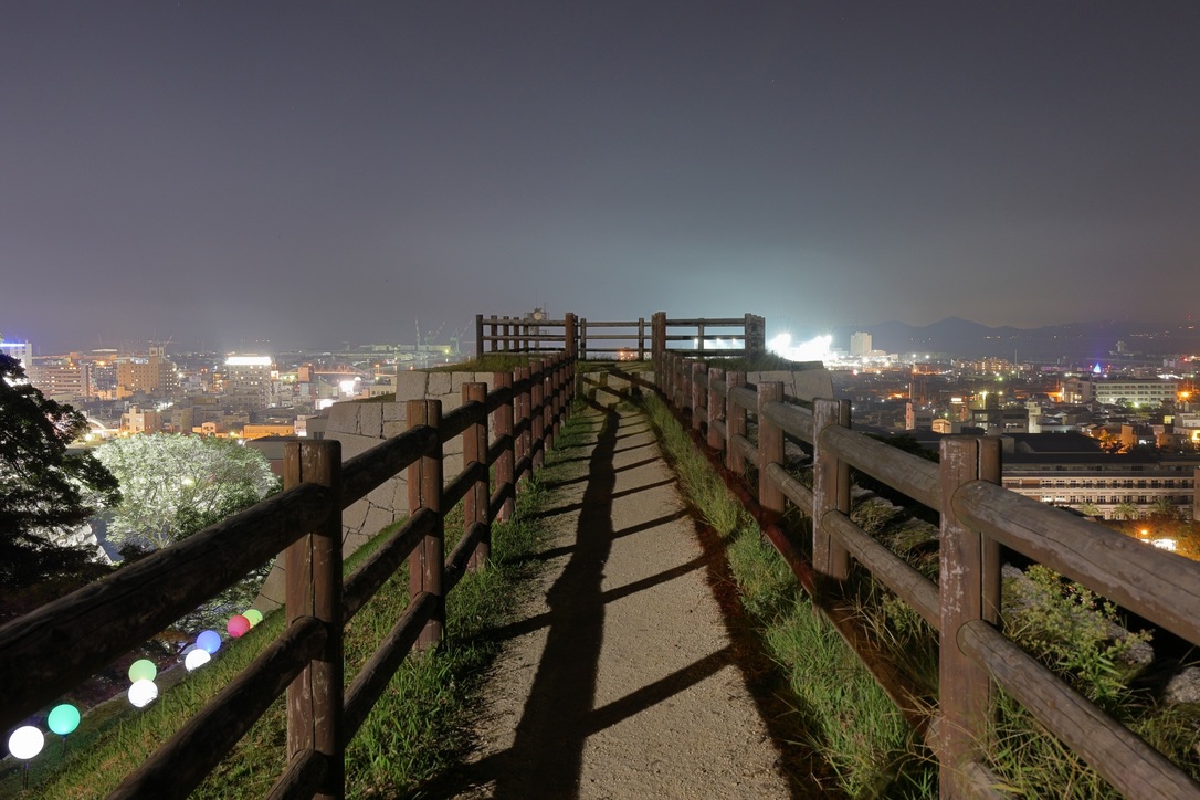 展望台から見下ろす丸亀市の夜景。城内から望む光に包まれた街並み
