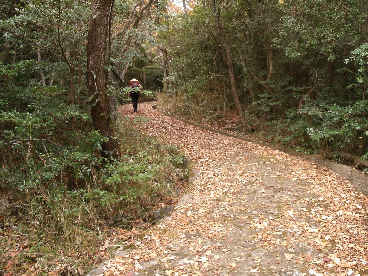 落ち葉が積もる裏八景登山道の山道