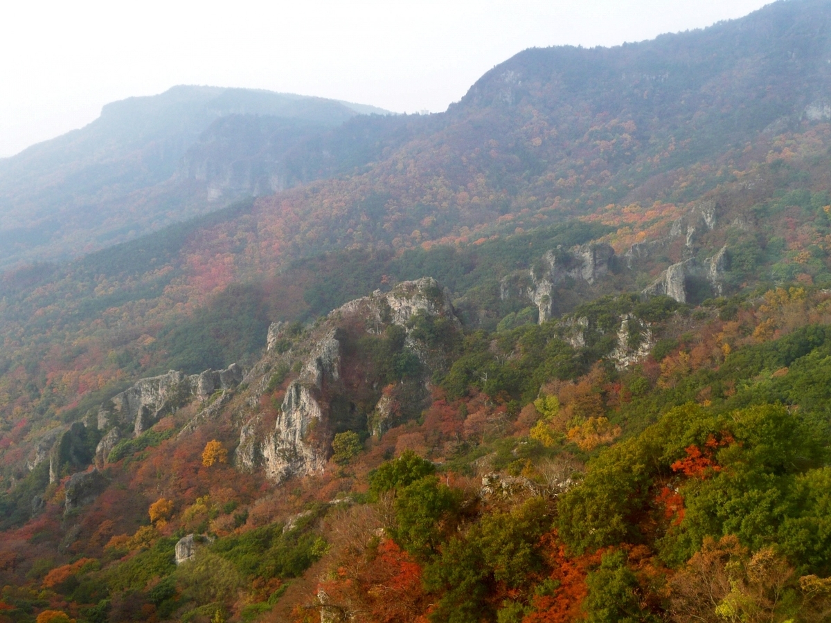 紅葉に包まれた寒霞渓の渓谷と奇岩