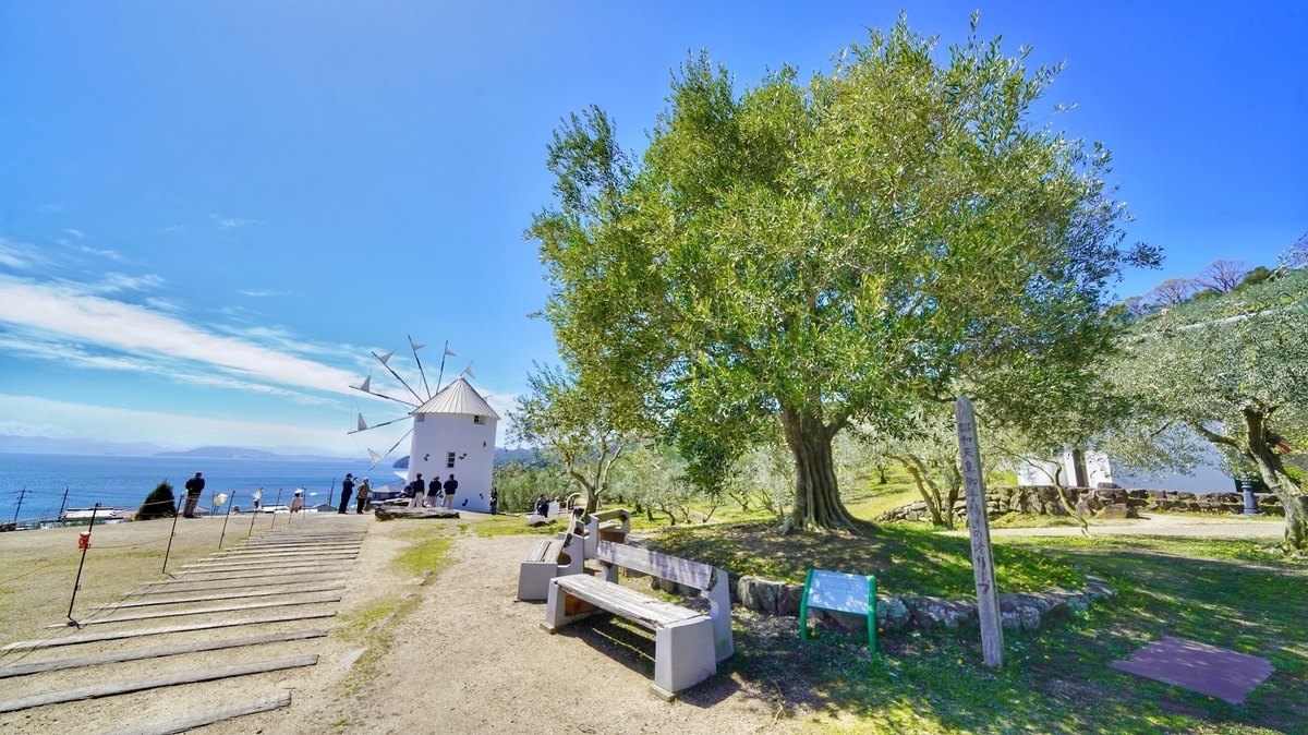 ギリシャ風車と瀬戸内海 ベンチとオリーブの木のある広場