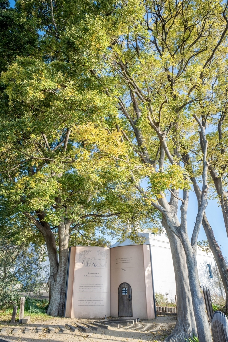 小豆島オリーブ公園 大樹に囲まれた始まりの本の全景