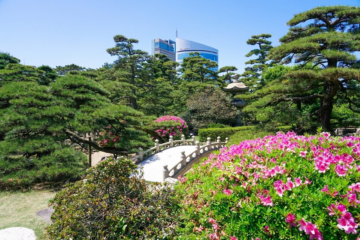 満開のツツジが彩る披雲閣の日本庭園 季節の花々と手入れされた植栽