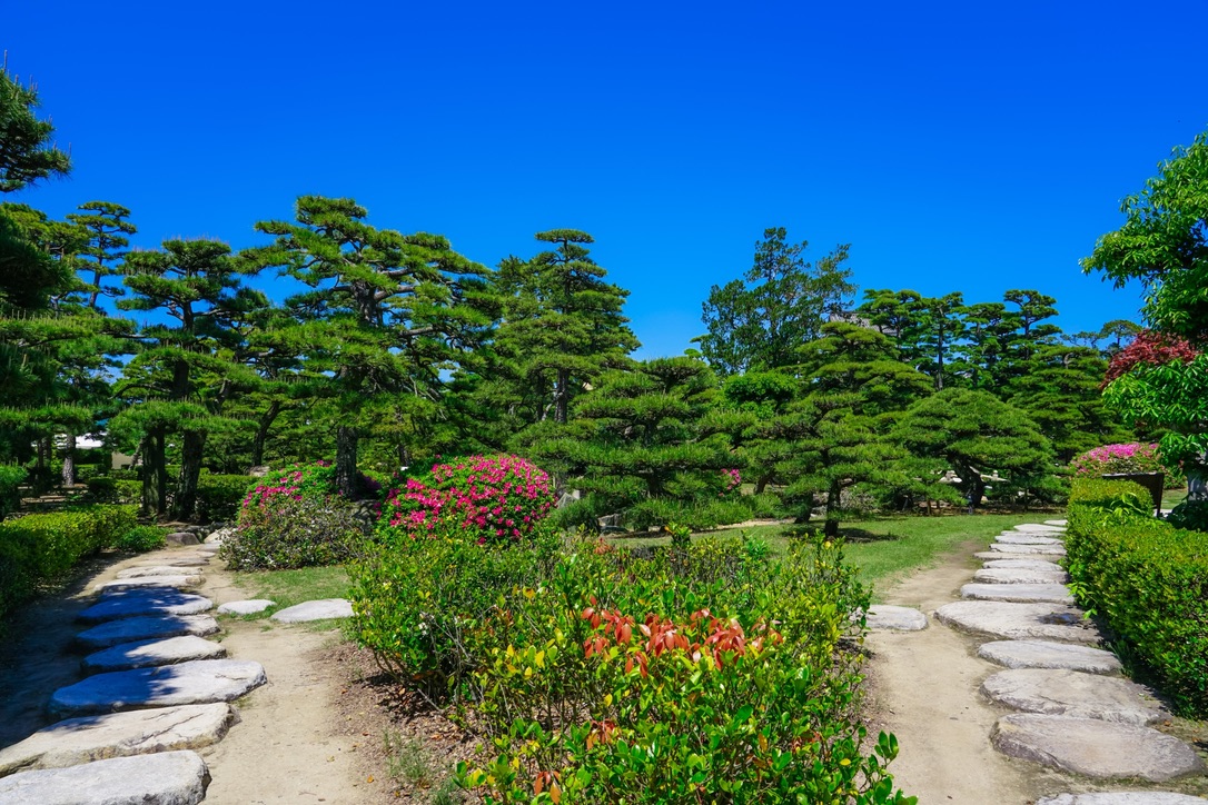 石畳が巡る披雲閣の回遊式日本庭園 松と花木に囲まれた遊歩道