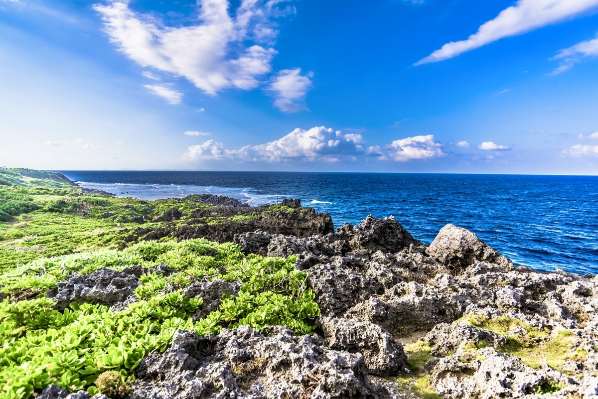 辺戸岬の岩場と草地の先に広がる東シナ海の絶景
