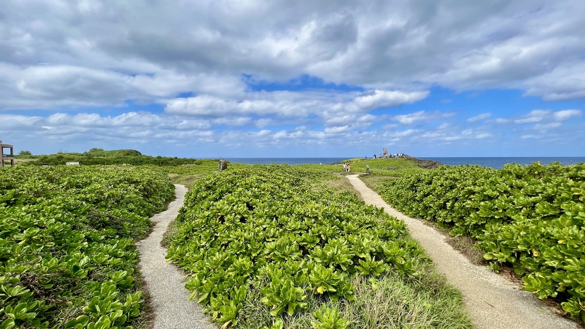 緑に囲まれた辺戸岬の遊歩道が続く風景