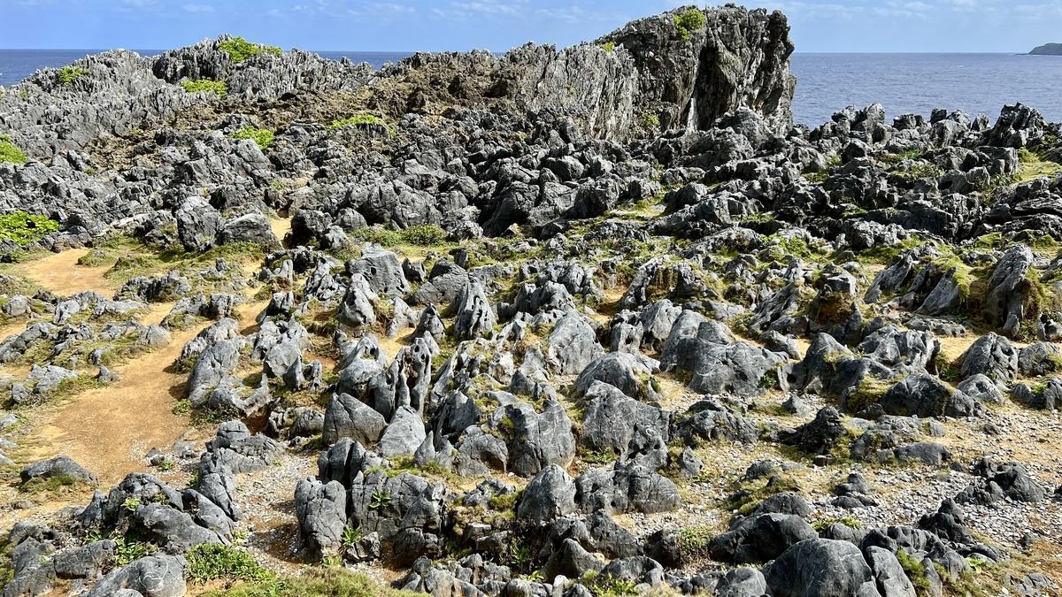 無数の石灰岩が点在する辺戸岬の荒々しい地形