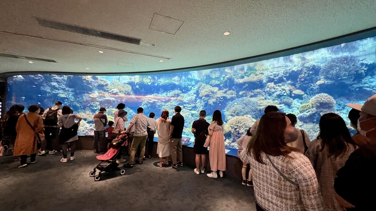 サンゴ礁の海エリアを眺める観覧客と大きな水槽の風景