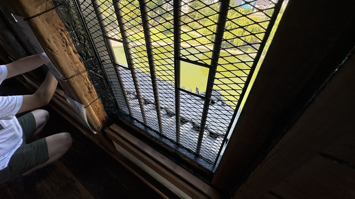 松本城天守六階 格子窓から外を見下ろす様子