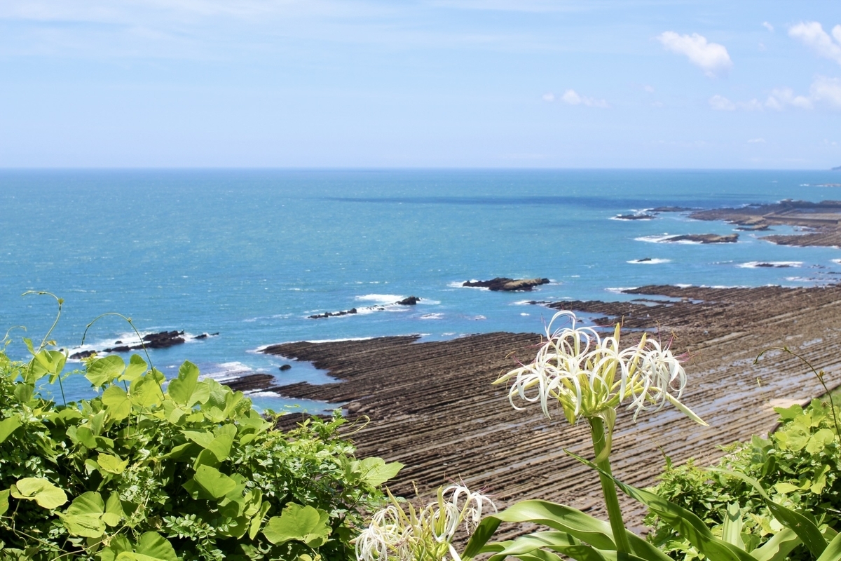 堀切峠から見下ろす鬼の洗濯板と鮮やかな青い海の景色