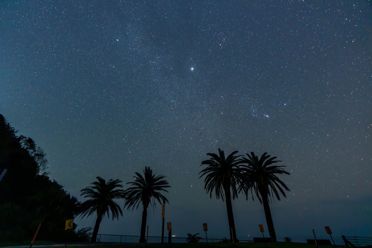 満天の星空を背景に並ぶフェニックスの木と堀切峠のシルエット