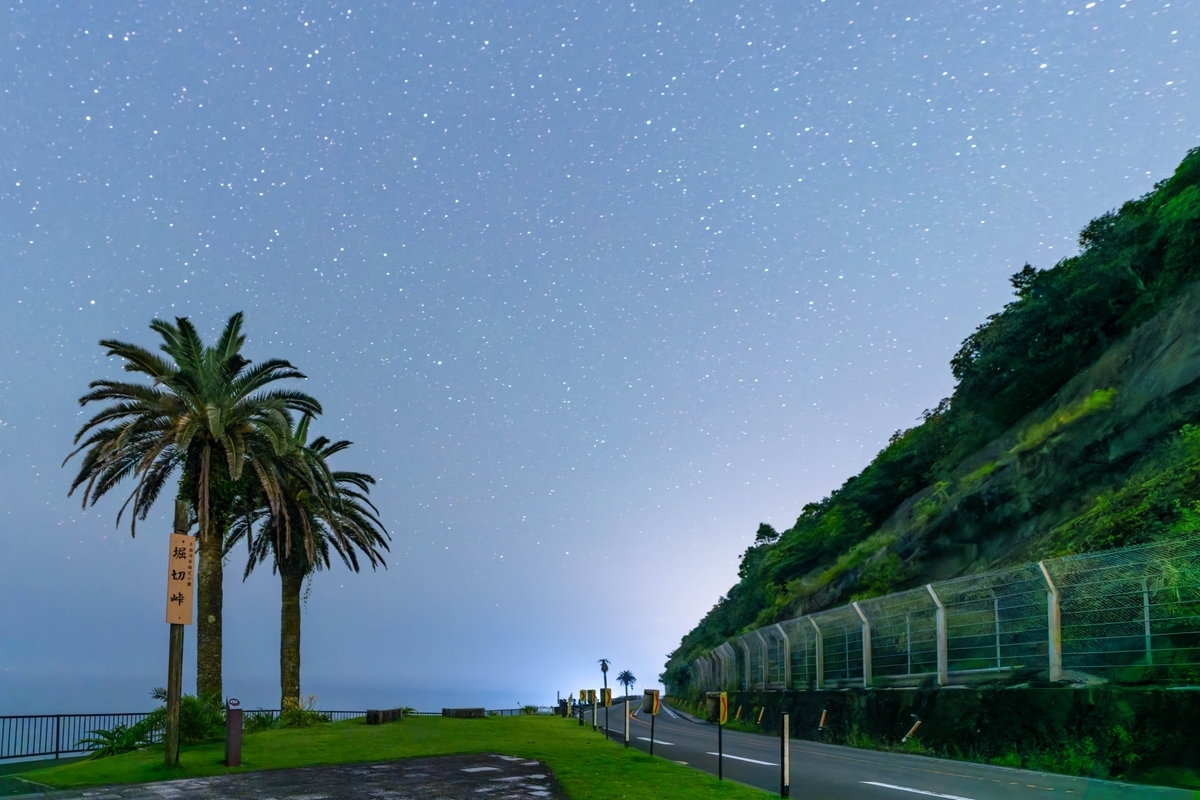 フェニックスの木と道路越しに広がる星空を眺める堀切峠の夜景