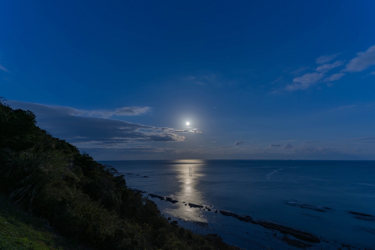 月明かりが海面に反射する静かな日南海岸の夜景