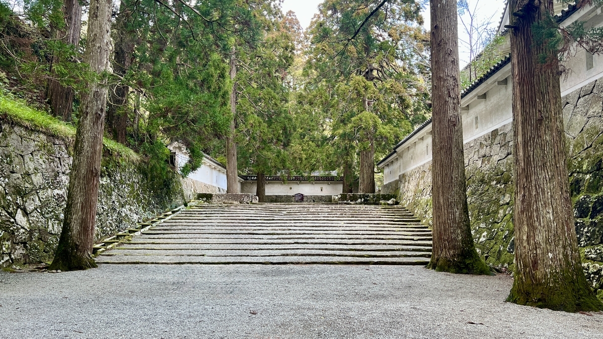 4本の杉が並ぶ中心への石が置かれたしあわせ杉の場所