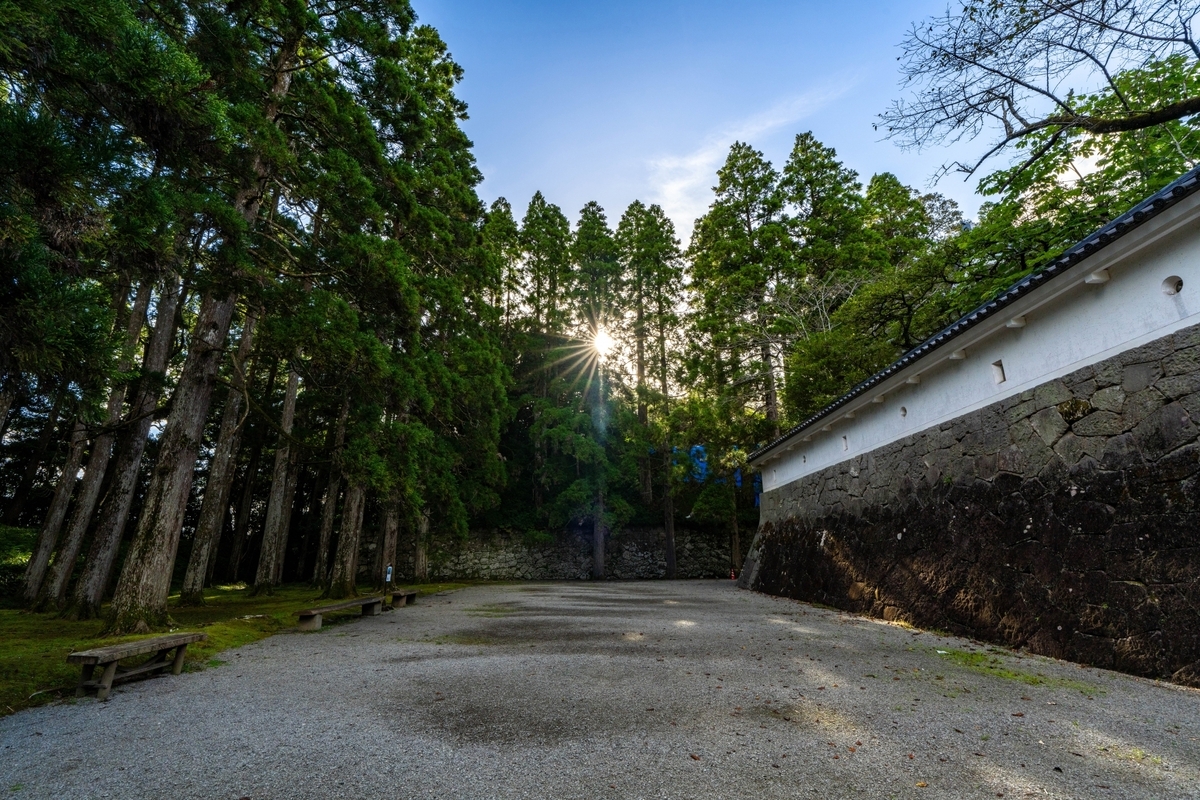 飫肥城の苔むした土塀と杉林が並ぶ静かな通路