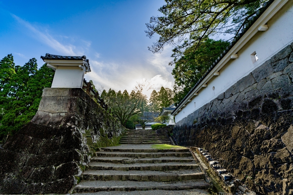石段の先に杉の林が広がる飫肥城の落ち着いた風景