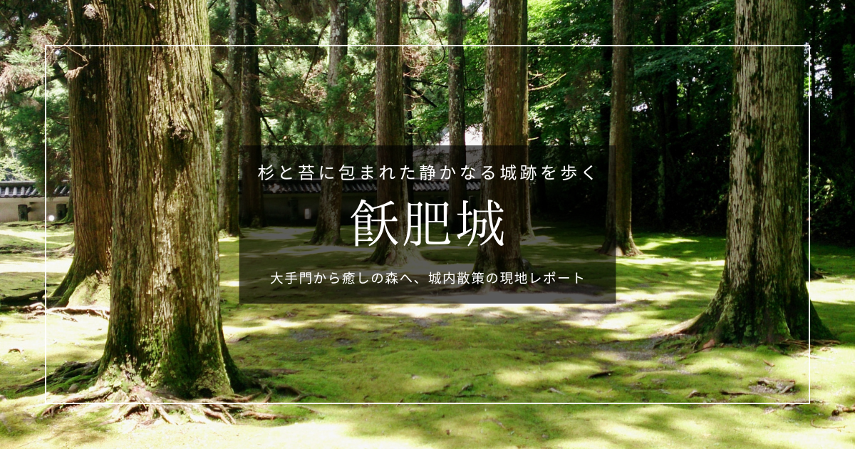 飫肥城を歩く｜杉と苔に包まれた静かなる城跡を現地レポート