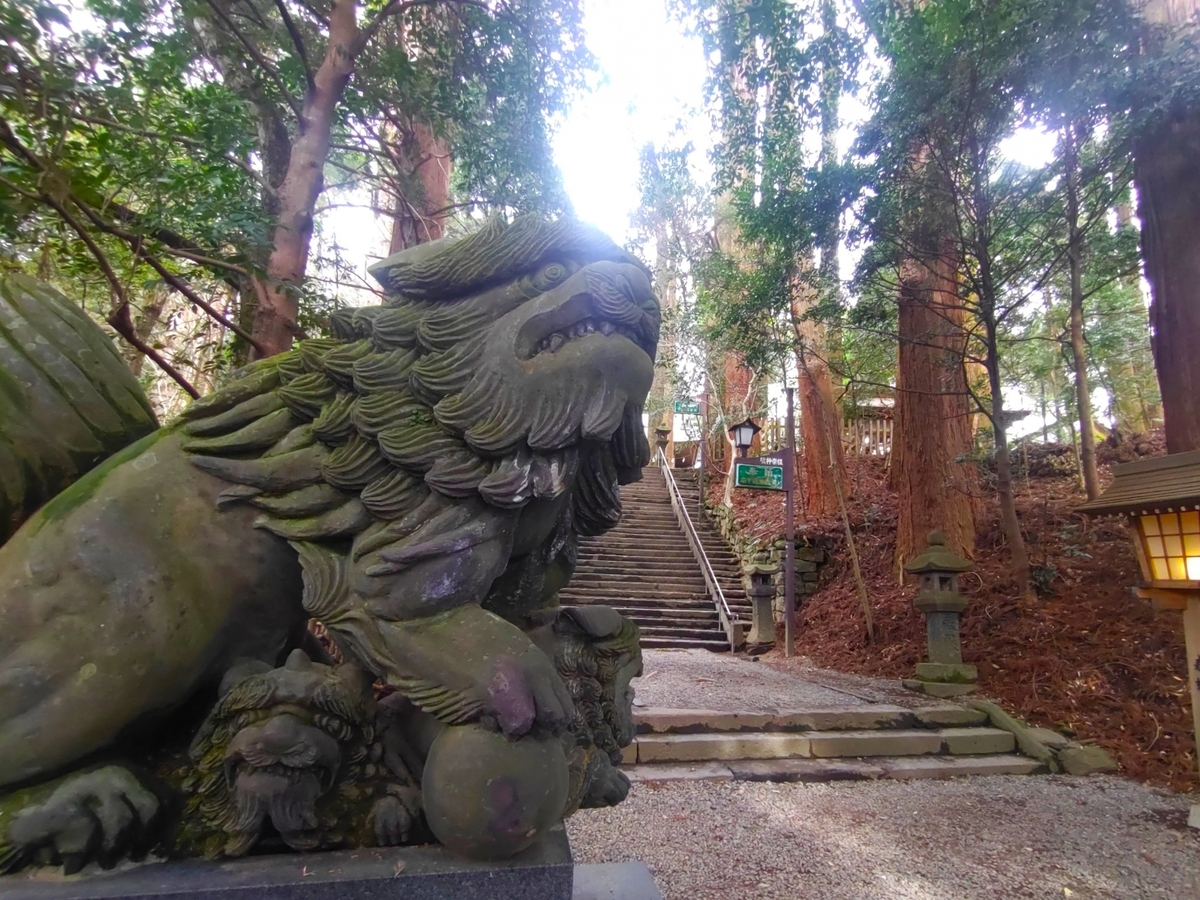 高千穂神社参道に立つ狛犬と石段を包む静かな森