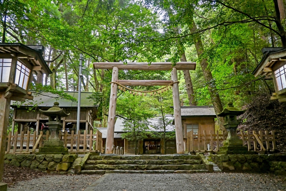 東本宮の石段上に立つ鳥居と深い森に囲まれた参道の入口