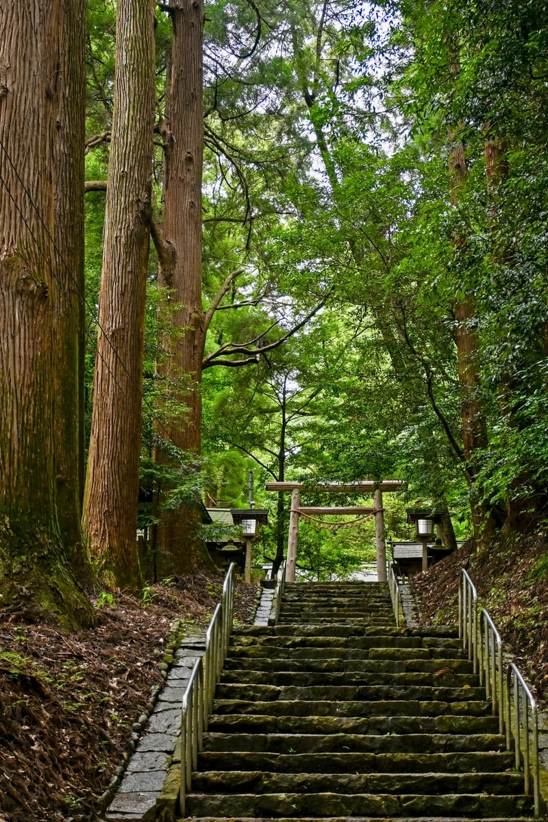 高い杉木立の間に続く東本宮の長い石段と鳥居