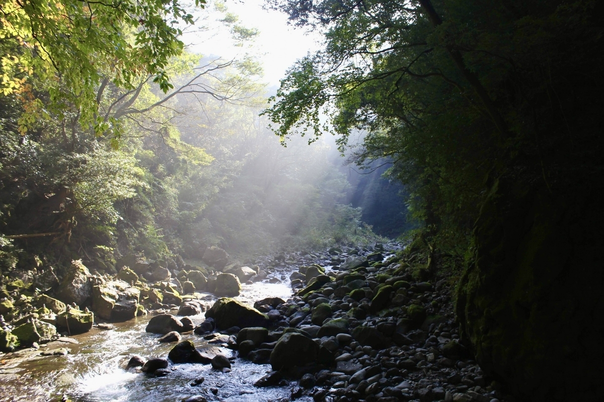 岩戸川の清流と木漏れ日が差し込む渓谷の風景