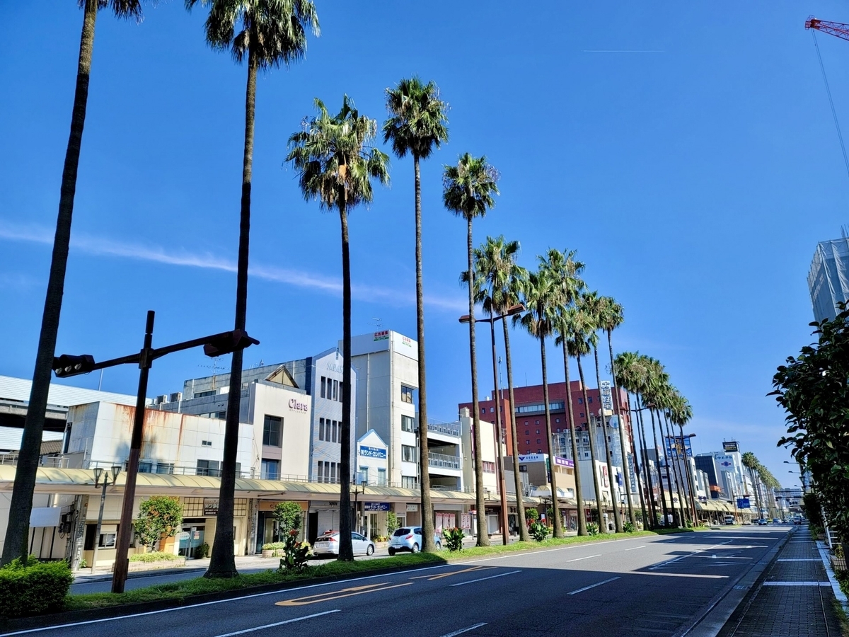 宮崎市街のフェニックス並木と青空の大通り