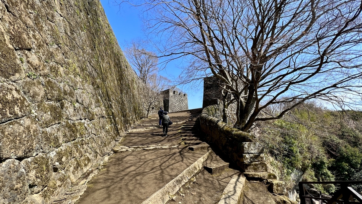 曲線を描く石垣沿いの登城路と枯れ木の枝