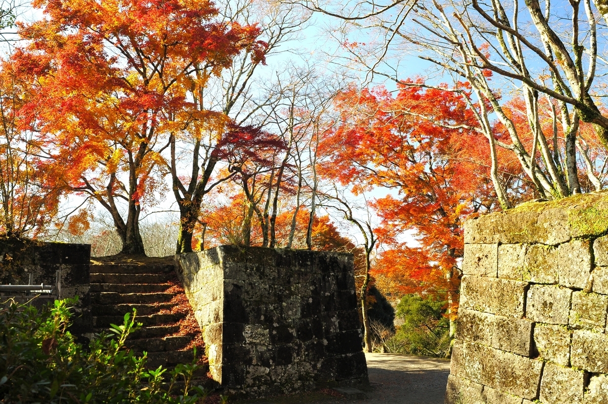 青石垣の門跡を包む鮮やかな紅葉のトンネル