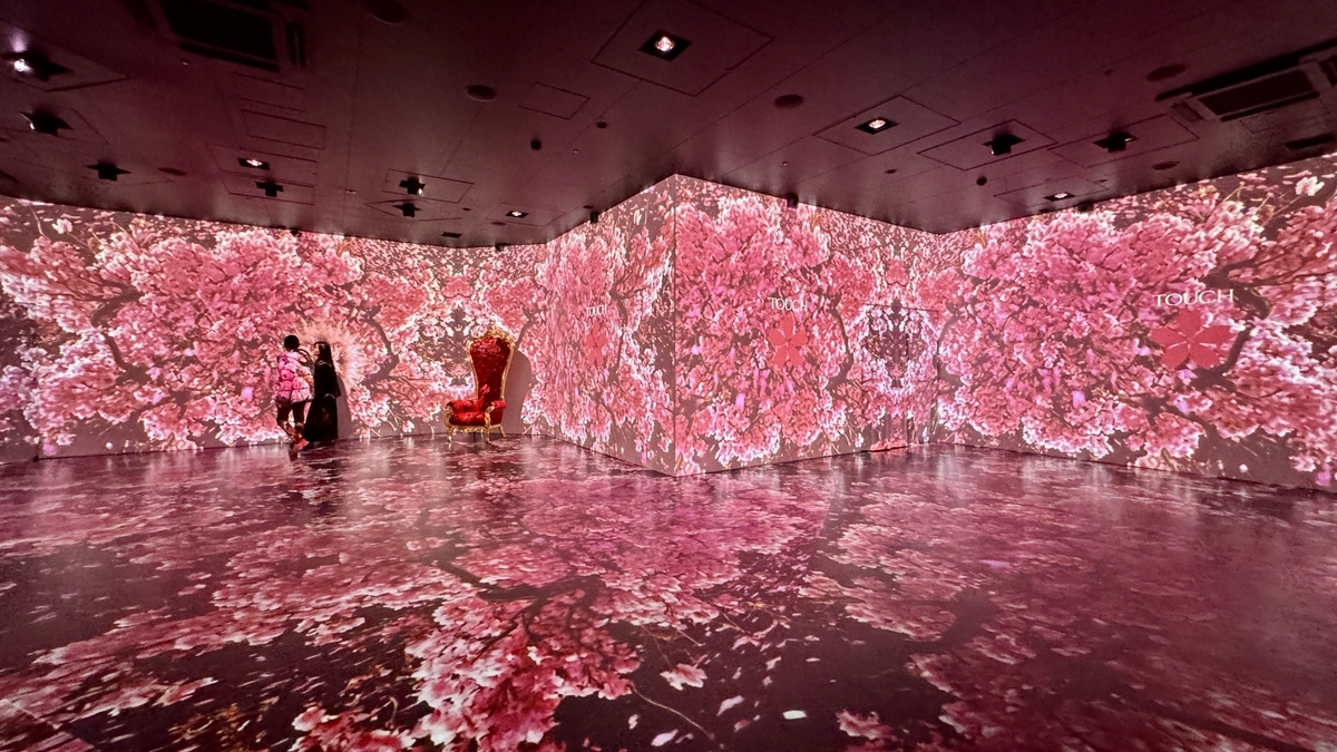 満開の桜が壁と床を染めるSAKURAエリアと撮影用の赤い椅子