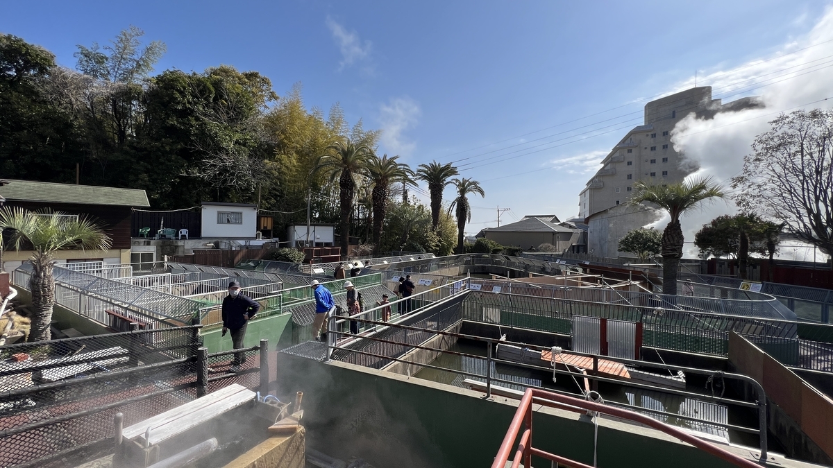 鬼山地獄のワニ飼育エリアの見学通路と柵が広がり来園者が歩く園内の様子