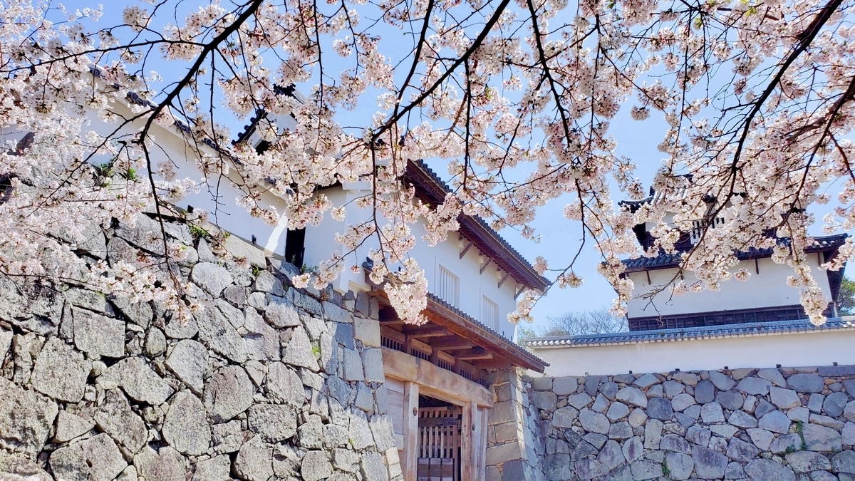 桜の枝越しに見える福岡城の下之橋御門と白壁の多聞櫓