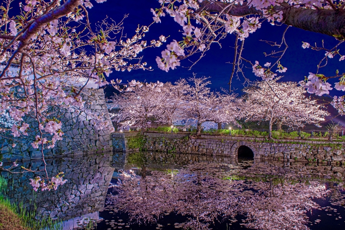 石垣の堀と石橋のアーチを囲む夜桜が水面に映る風景