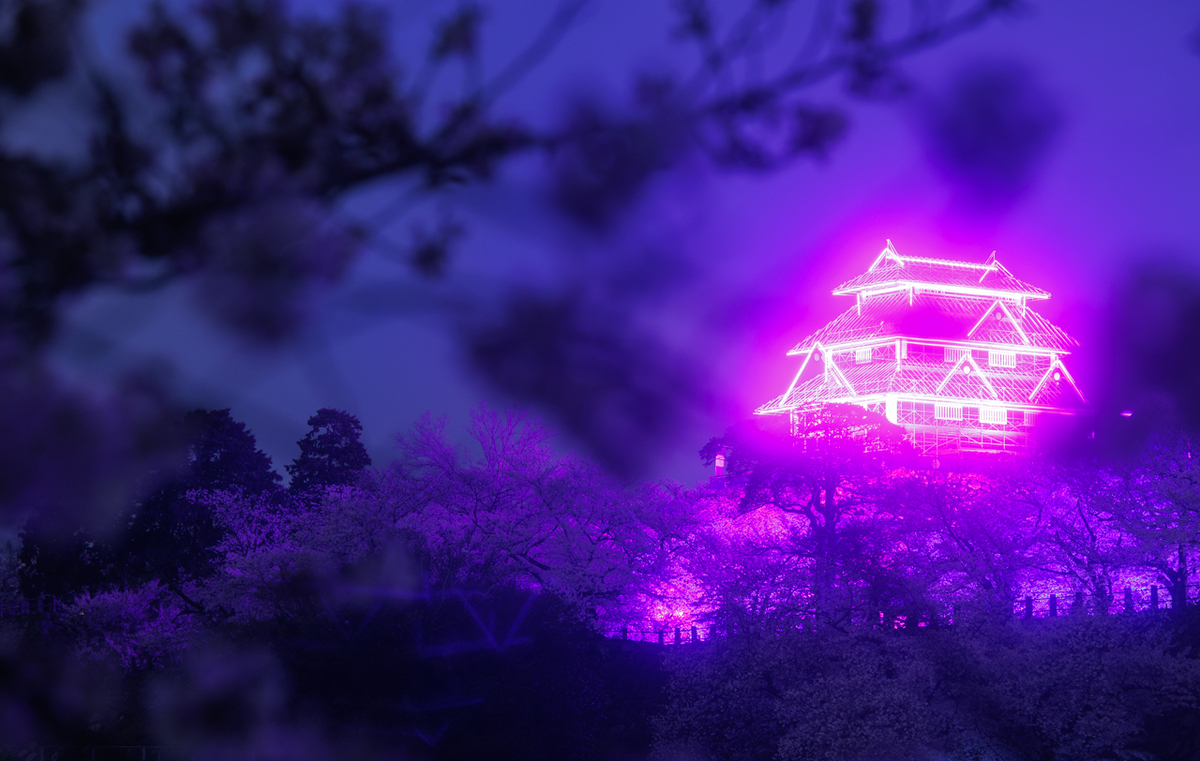 紫色に輝く光の天守閣と夜桜が丘の上に浮かぶ光景