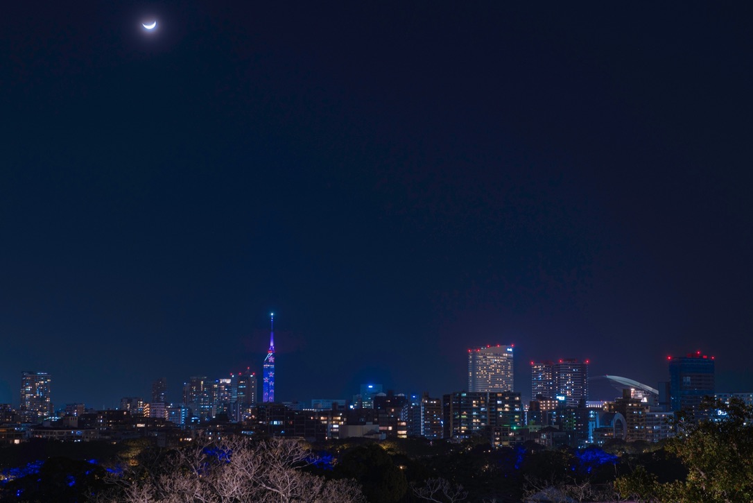 福岡城天守台からの眺望。三日月が浮かぶ夜空の下に広がる福岡タワーと福岡市街の夜景