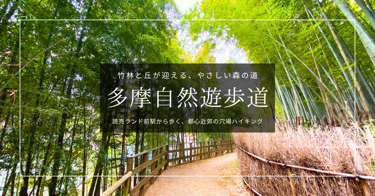 多摩自然遊歩道〜豊かな自然、竹林が美しい気軽なハイキングのすすめ〜