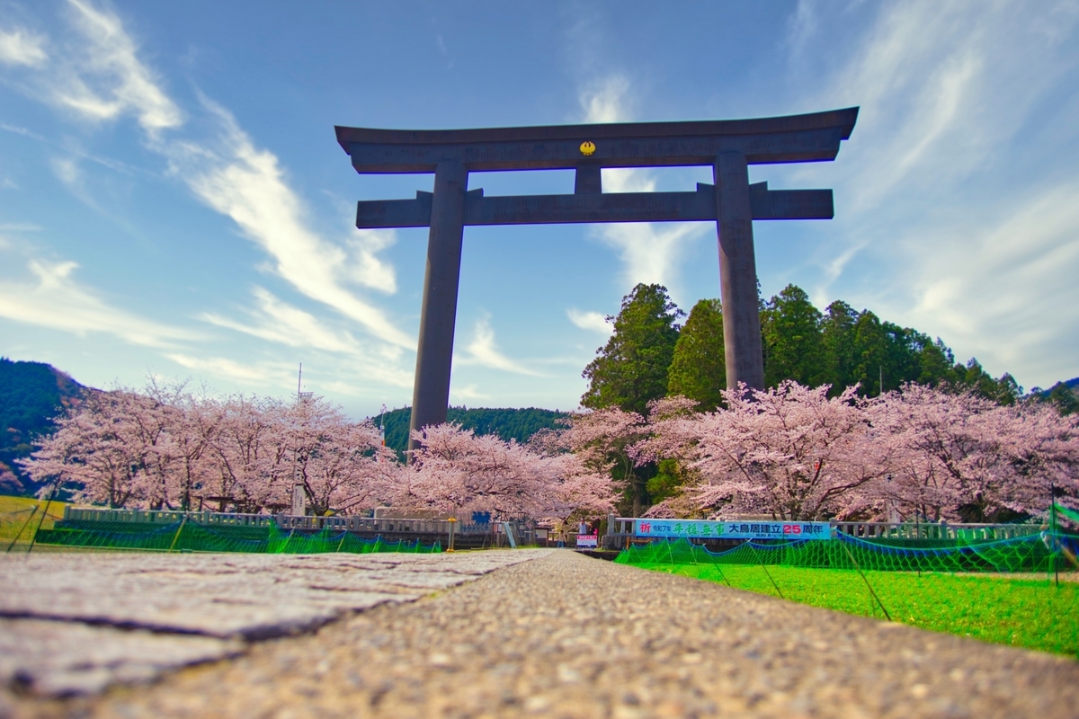 青空の下で満開の桜に囲まれた巨大な黒い鳥居とその足元の石畳参道のローアングル