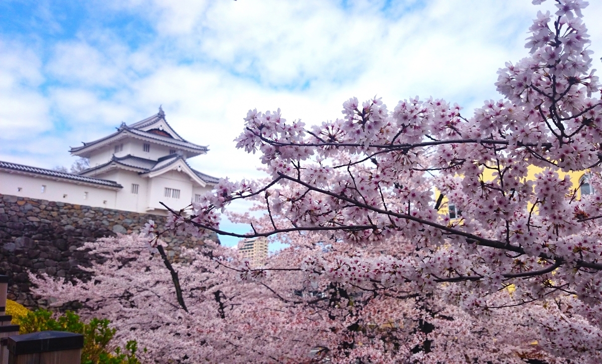 桜の枝越しに見える白壁の櫓と石垣