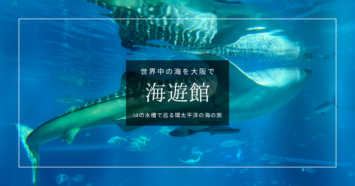 日本最大級!海遊館見どころガイド|14の水槽で巡る環太平洋の海の旅。大阪・天保山の水族館