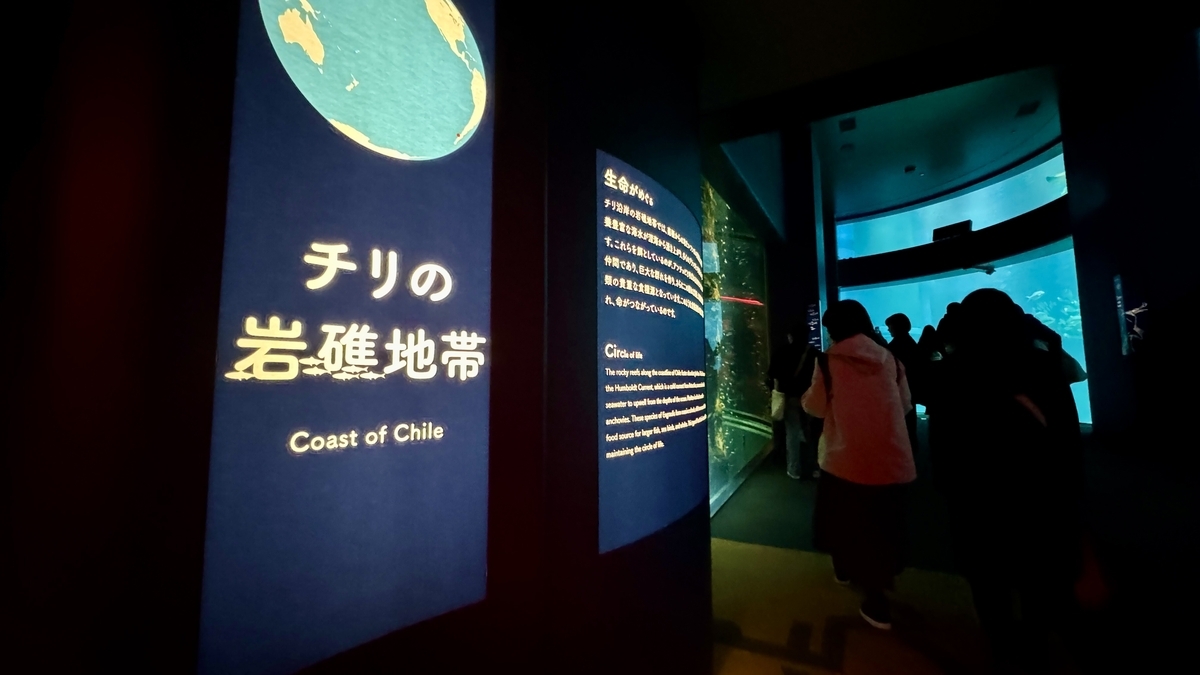 チリの岩礁地帯と書かれた展示案内パネル