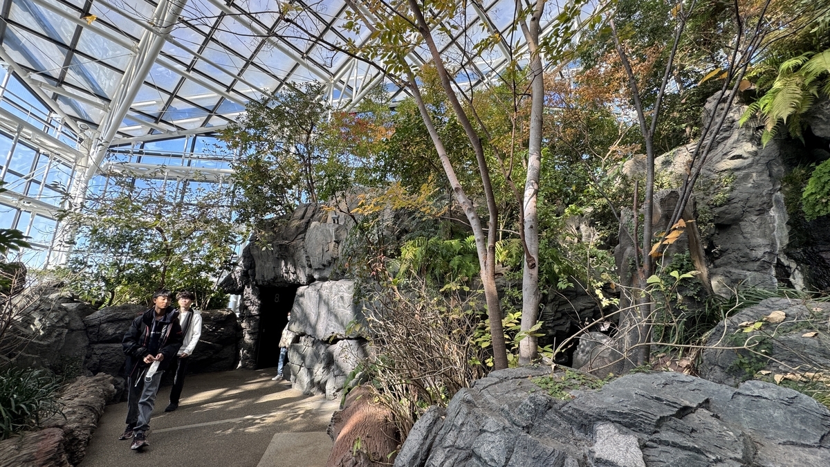 日本の森エリアに配置された季節の草花と植物景観