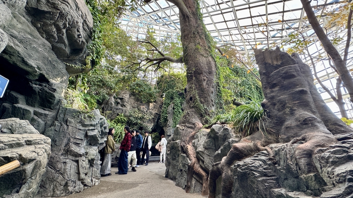 日本の森エリアで水辺に広がる緑の植栽と岩場