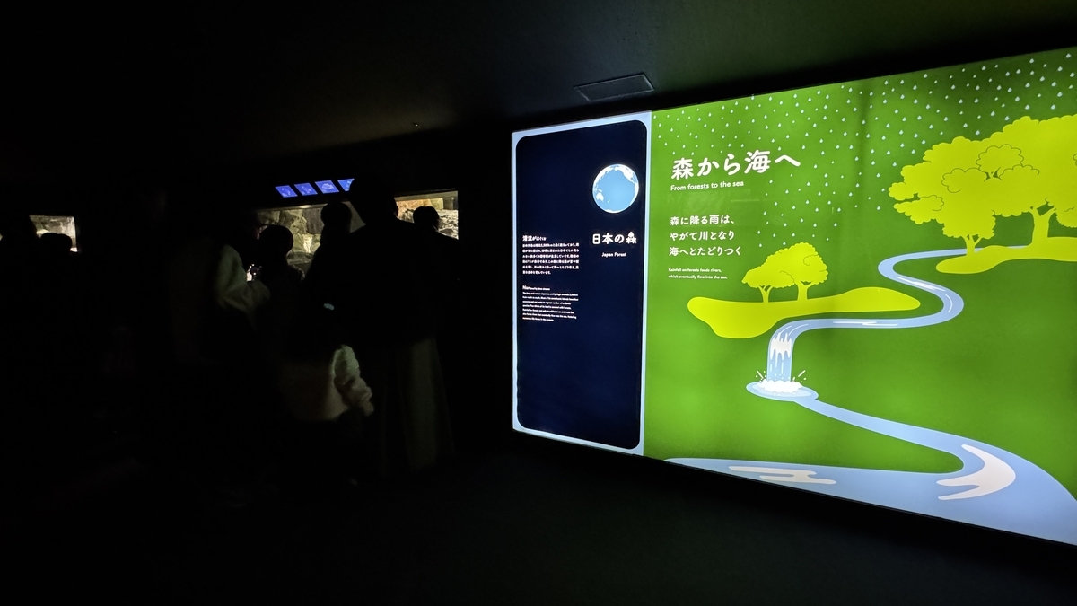 森から海へ展示の全景と階をまたぐ水槽構成