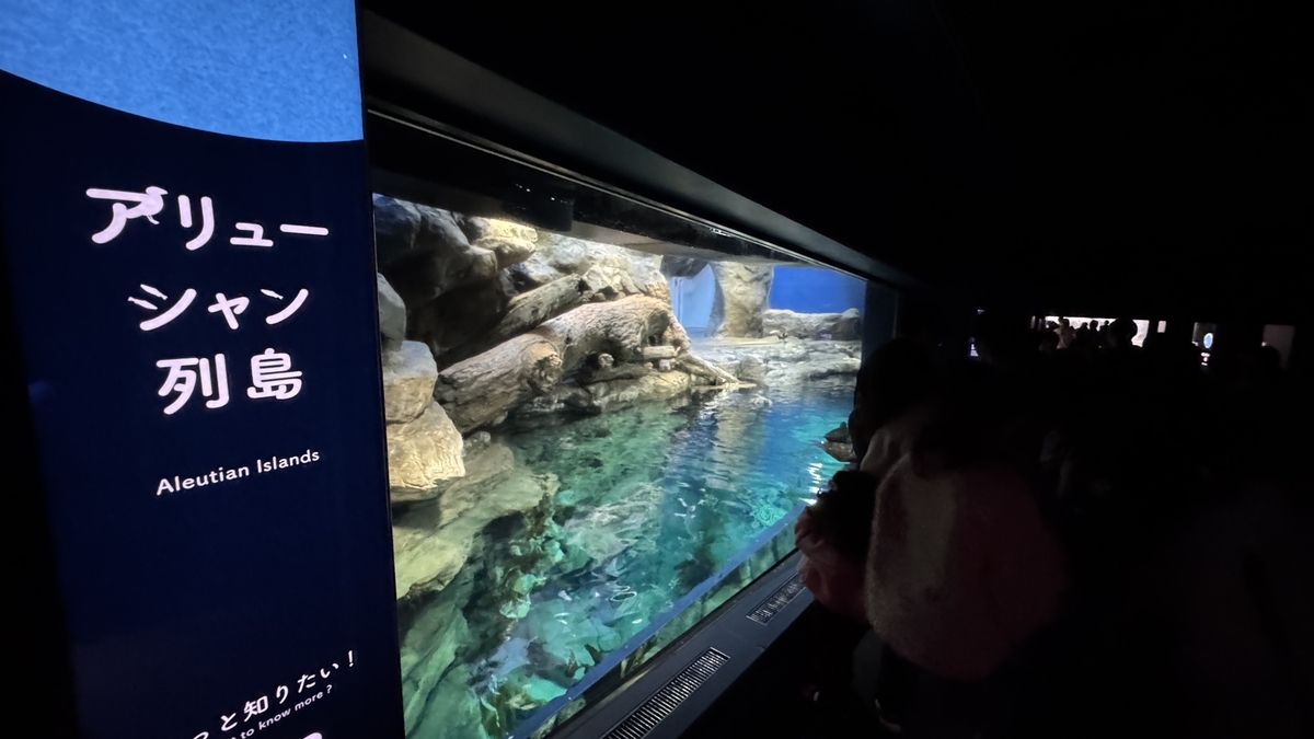 アリューシャン列島エリアの冷たい海を表現した水槽