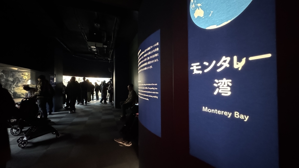 モンタレー湾エリアの広い水槽と岩場の展示